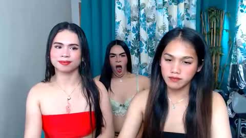 wildhotsexyladyboy online show from 12, 4, 2026