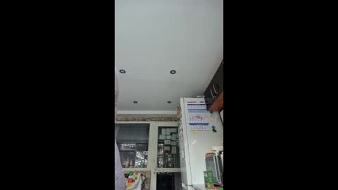 WildPersia online show from 15, 1, 2026