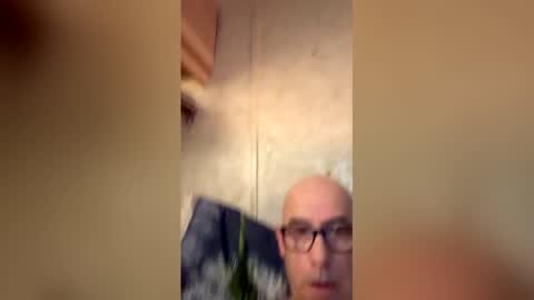 will19672025 online show from 11, 4, 2026