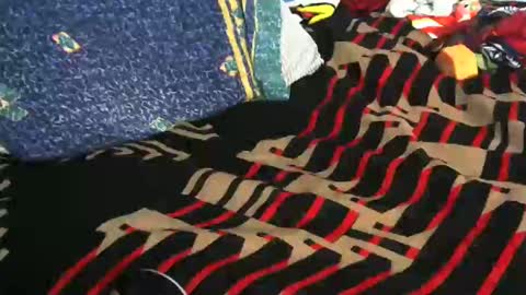 Willamyth online show from 19, 2, 2025