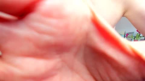 Wilhelmina better Willy online show from 20, 2, 2025