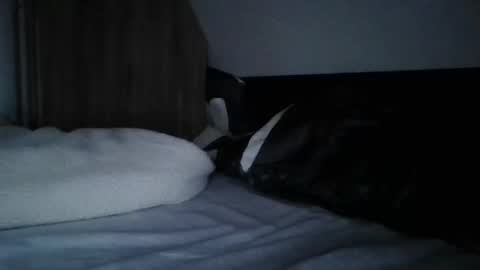 Snapshot of willobey chatting on 11, 2, 2025 papa bear online show from 11, 2, 2025