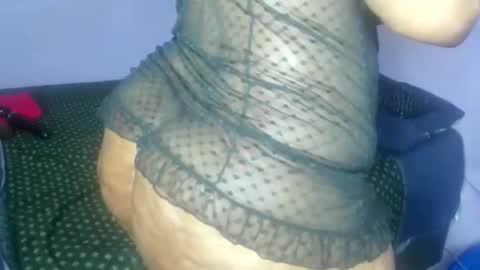 wilmaassylum online show from 10, 11, 2025