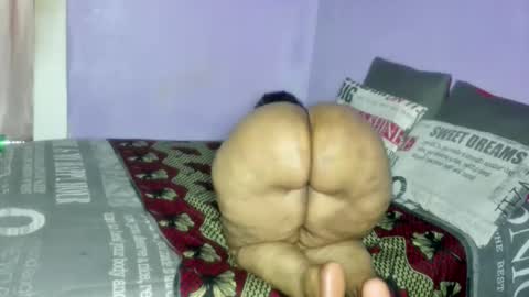 wilmaassylum online show from 7, 2, 2026