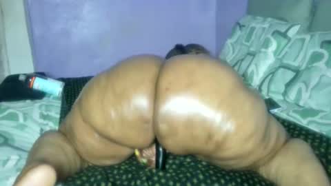 wilmaassylum online show from 26, 2, 2026