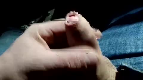 win1987t online show from 16, 12, 2024