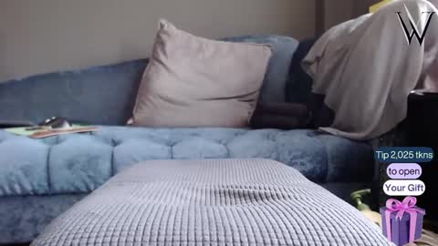 Wonder online show from 22, 12, 2024