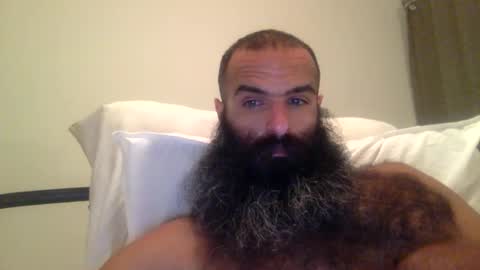 Snapshot of woof_wolf37 chatting on 28, 2, 2026 woof_wolf37 online show from 28, 2, 2026