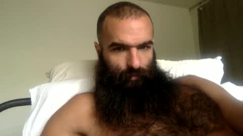 woof_wolf37 online show from 12, 4, 2026