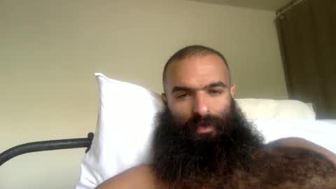 Snapshot of woof_wolf37 chatting on 21, 4, 2026 woof_wolf37 online show from 21, 4, 2026