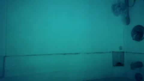 BONER DONOR online show from 4, 12, 2024