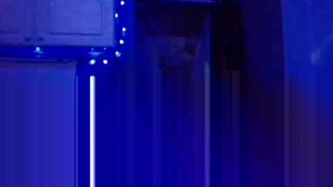 BONER DONOR online show from 5, 1, 2025