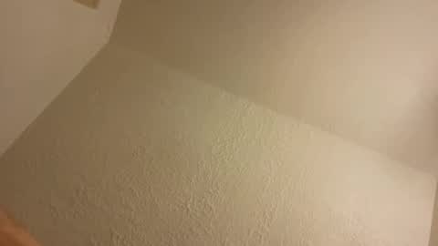 BONER DONOR online show from 25, 10, 2025