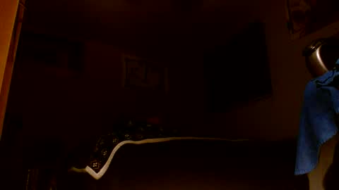 wvuguy1986 online show from 8, 3, 2026