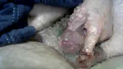 Snapshot of wxherts chatting on 11, 3, 2025 Charles online show from 11, 3, 2025