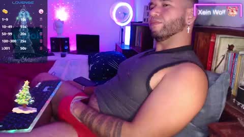 Xein Independent Model online show from 7, 12, 2024