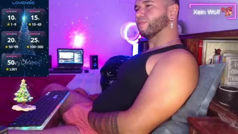 Xein Independent Model online show from 8, 12, 2024