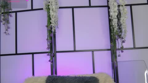 xenomy online show from 25, 2, 2026