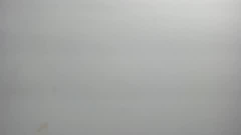 Xime  online show from 21, 2, 2026