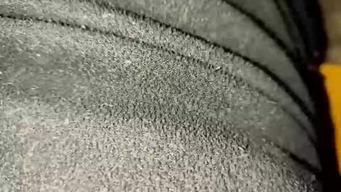 ximradiaz online show from 23, 11, 2025