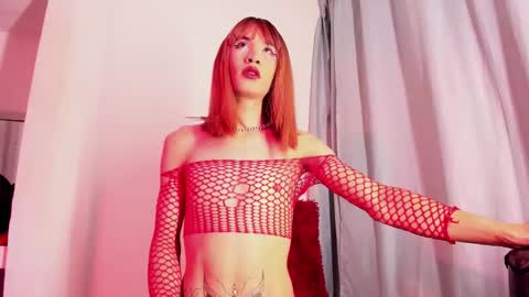 xmistresspervet online show from 17, 12, 2025