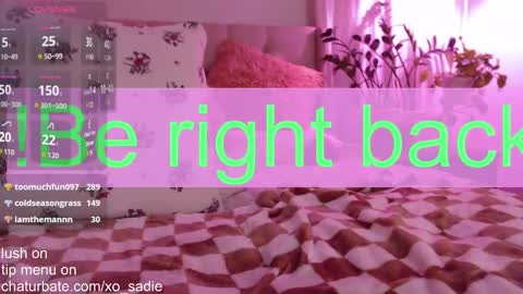 Snapshot of xo_sadie chatting on 30, 12, 2024 Xo Sadie online show from 30, 12, 2024