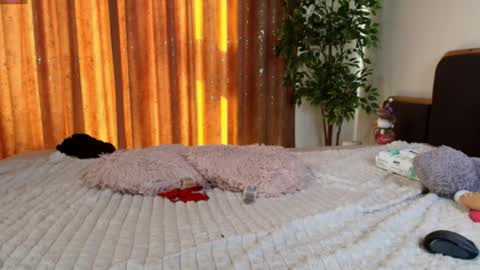 Cherry online show from 4, 6, 2026