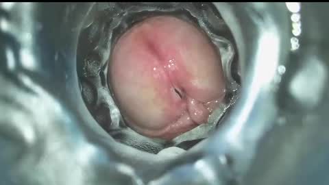 xoxowtf online show from 16, 12, 2024