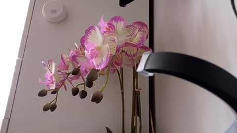 See you on October  going to miss you guys incredibly. Subscribe to my  Onlyfans  Channel to follow the news online show from 12, 3, 2025