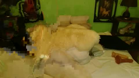 PAMPAM online show from 13, 1, 2025