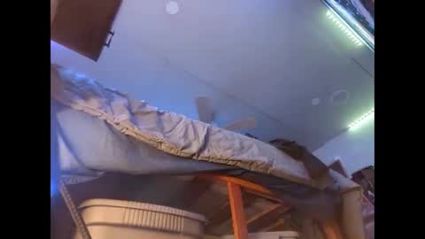 Snapshot of xzbib chatting on 12, 12, 2024 Xzbib online show from 12, 12, 2024