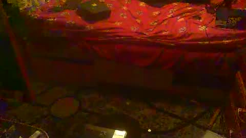 yangolox3 online show from 3, 10, 2025