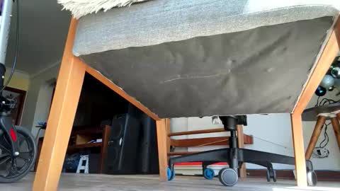 yannisv online show from 10, 1, 2026