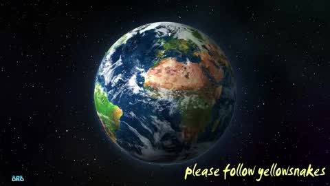 .     y e l l o w s n a k e s       . online show from 9, 10, 2025