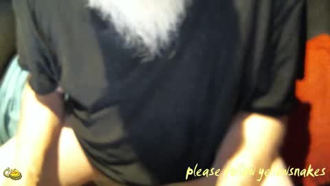 .     y e l l o w s n a k e s       . online show from 27, 10, 2025