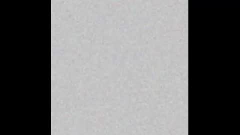 .     y e l l o w s n a k e s       . online show from 20, 11, 2025