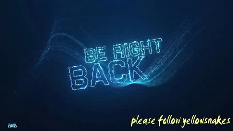 .     y e l l o w s n a k e s       . online show from 5, 12, 2025