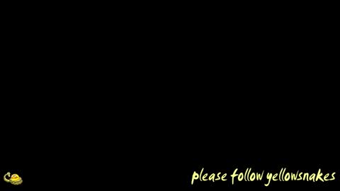 .     y e l l o w s n a k e s       . online show from 19, 3, 2026