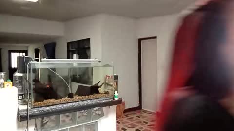 yesika_t online show from 9, 1, 2026