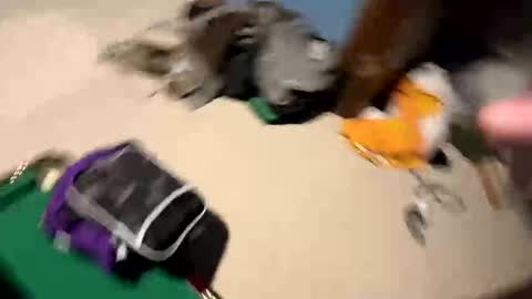 Yesspleasexxp online show from 17, 11, 2025