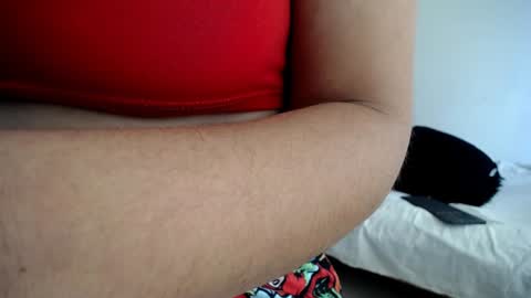 tulipan online show from 5, 1, 2025