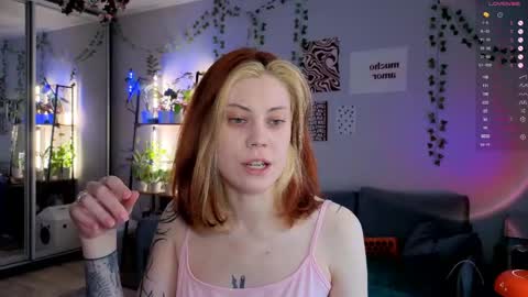 your_corvus online show from 24, 4, 2026