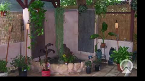 Snapshot of your_king_of_hearts chatting on 24, 2, 2025 Sophiestar online show from 24, 2, 2025