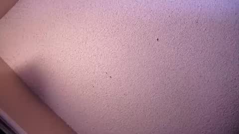 Snapshot of your_king_of_hearts chatting on 26, 5, 2026 Sophiestar online show from 26, 5, 2026