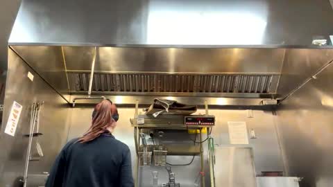 yourfavoriteshorty online show from 7, 3, 2026