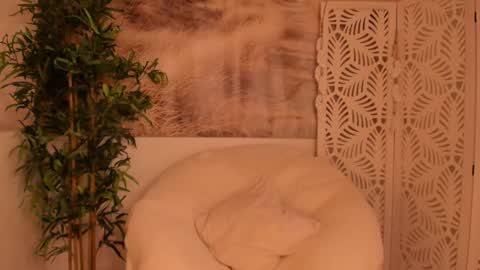 Sarah online show from 28, 1, 2025