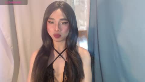 Stella online show from 28, 4, 2026