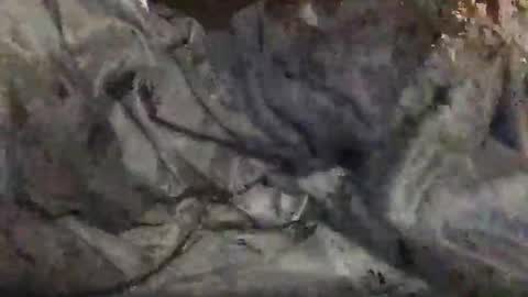 yungin470 online show from 25, 2, 2026