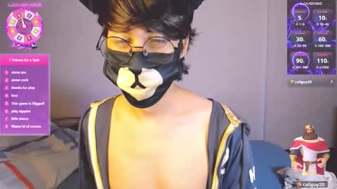 the puppy boy online show from 7, 3, 2026