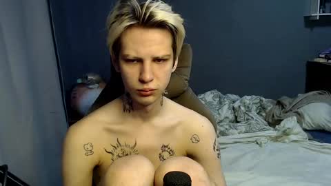 Toshka online show from 7, 12, 2024